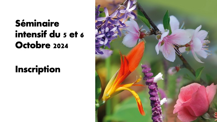 Séminaire de formation du 5 et 6 Octobre 2024 - Arrhes pour inscription